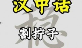 汉中头条最新爆料,揭秘重大事件背后真相！